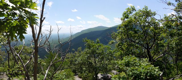 View from Huckleberry Point, Kaaterskill Wild Forest, Greene County, New York