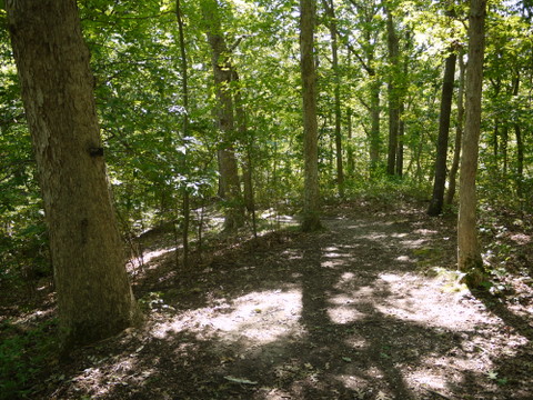 Red trail, Mashomack Preserve, Suffolk County, New York