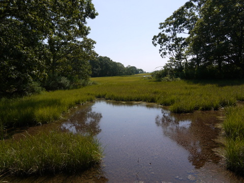 Salt marsh, Mashomack Preserve, Suffolk County, New York