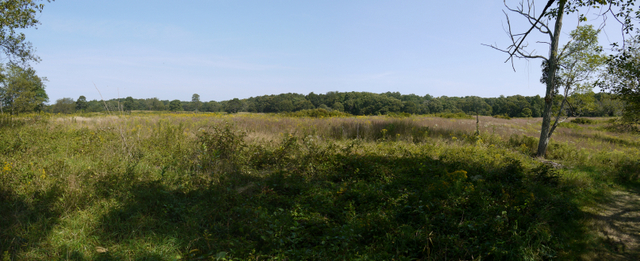 Meadow, Mashomack Preserve, Suffolk County, New York