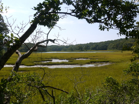 Plum Pond?, Mashomack Preserve, Suffolk County, New York