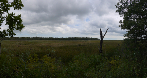 View from the White Oak Trail, Wertheim NWR, Suffolk County, New York