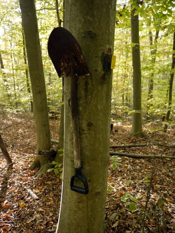 Shovel nailed to tree, Ringwood State Park, Passaic County, New Jersey