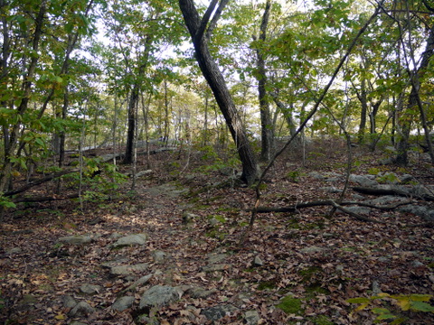 Yellow trail, Ringwood State Park, Passaic County, New Jersey