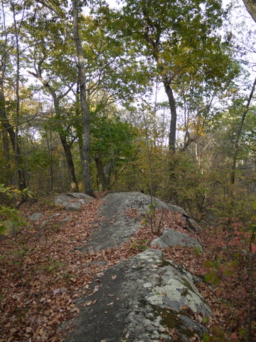 Rock outcropping, Ringwood State Park, Passaic County, New Jersey