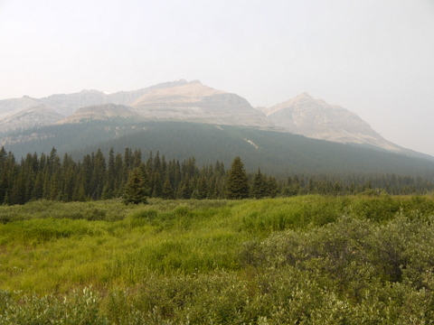 Crowfoot Mountain from Num-Ti-Jah, Banff National Park, Alberta, Canada
