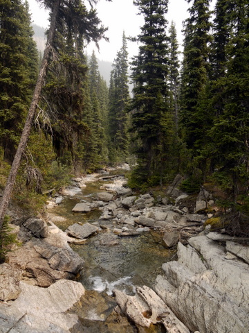 Sunshine Creek, Banff National Park, Alberta, Canada