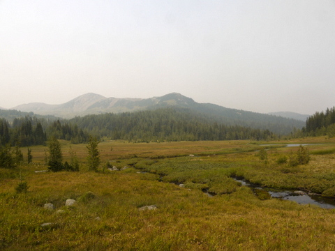 Meadow on Simpson Pass Trail, Banff National Park, Alberta, Canada