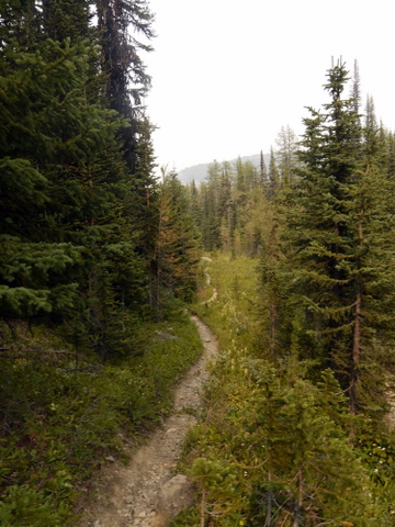 Simpson Pass Trail, Banff National Park, Alberta, Canada