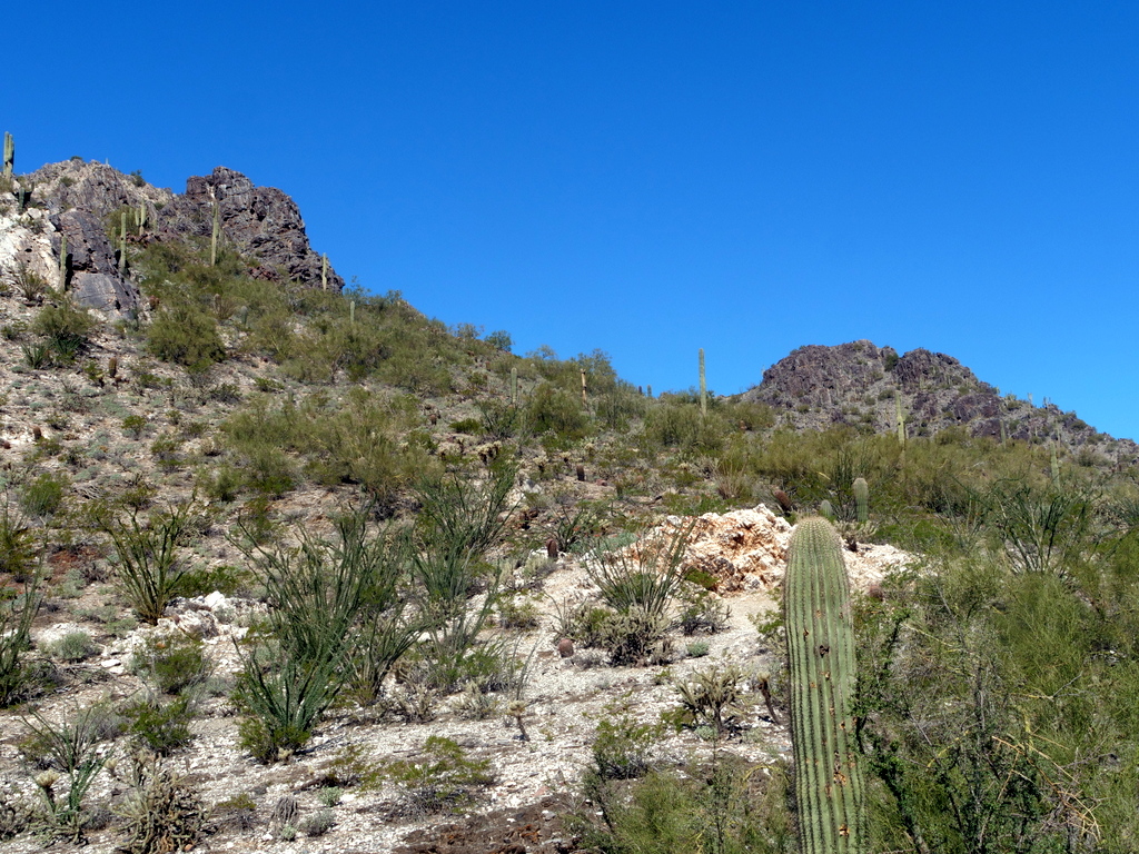 Phoenix Mountain Preserve, Phoenix, Arizona