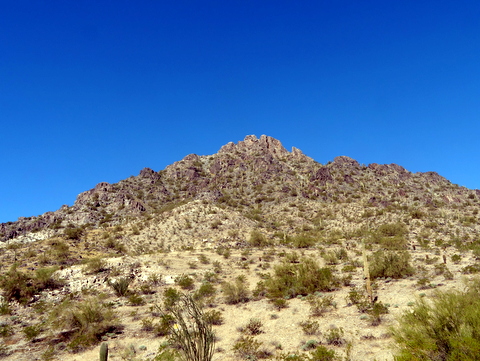 Phoenix Mountain Preserve, Phoenix, Arizona