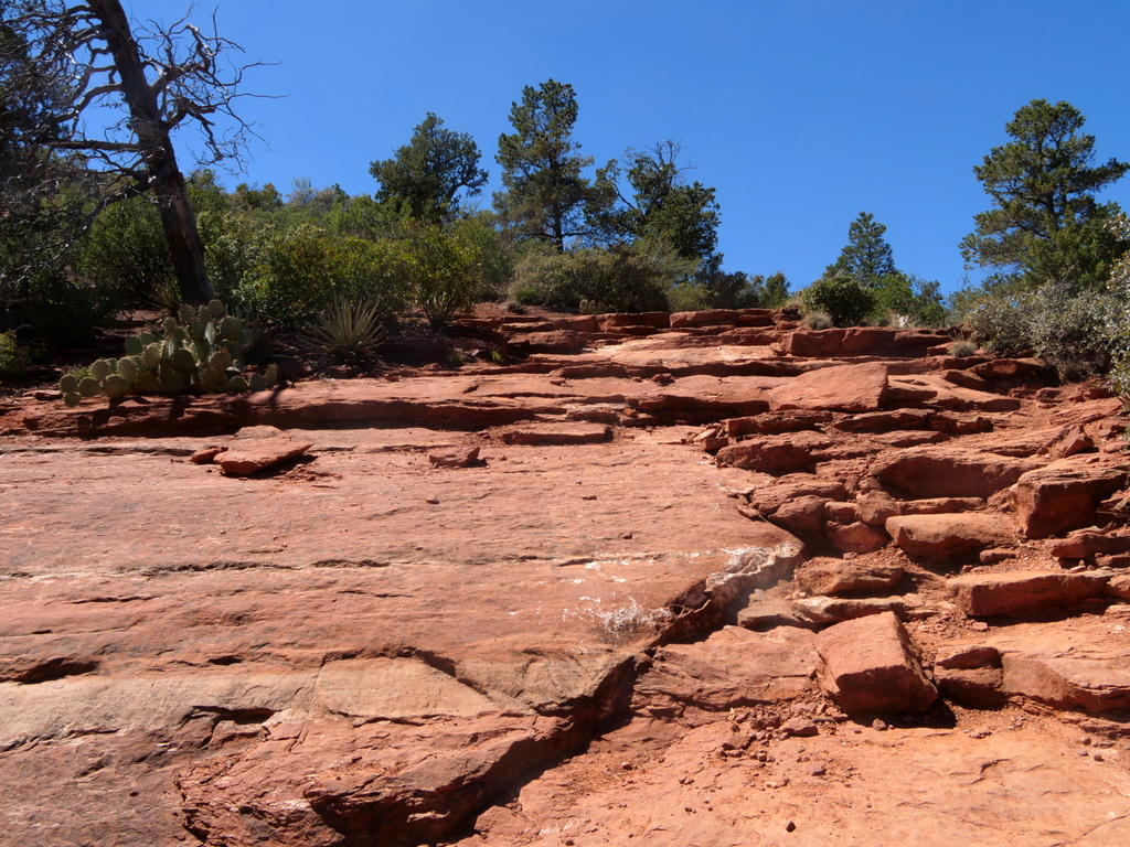 Brins Mesa trail, Sedona, Arizona