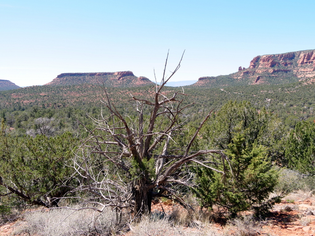 Sedona mountains, Sedona, Arizona
