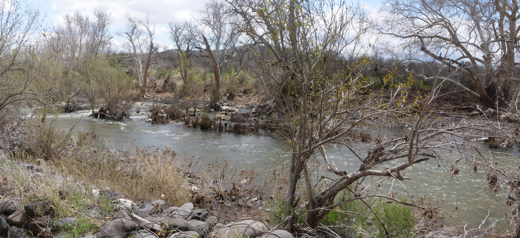 Beaver Creek, Montezuma Castle National Monument, Arizona