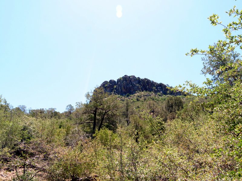 View from Thumb Butte Trail, Prescott National Forest, Arizona