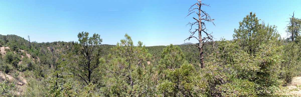 View from Thumb Butte Trail, Prescott National Forest, Arizona