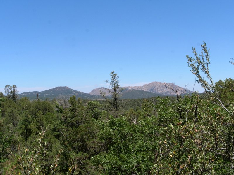 View from Thumb Butte Trail, Prescott National Forest, Arizona