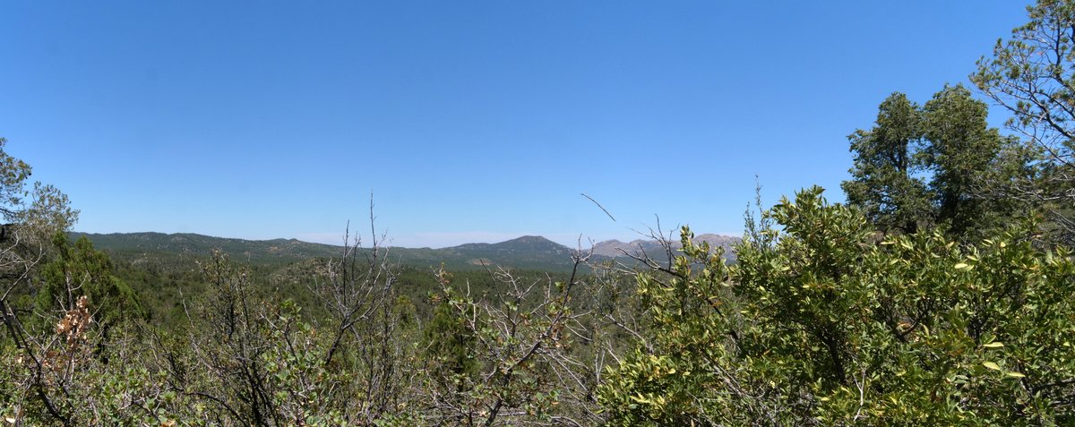 View from Thumb Butte Trail, Prescott National Forest, Arizona