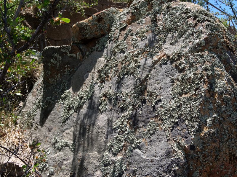 Rock with lichen
