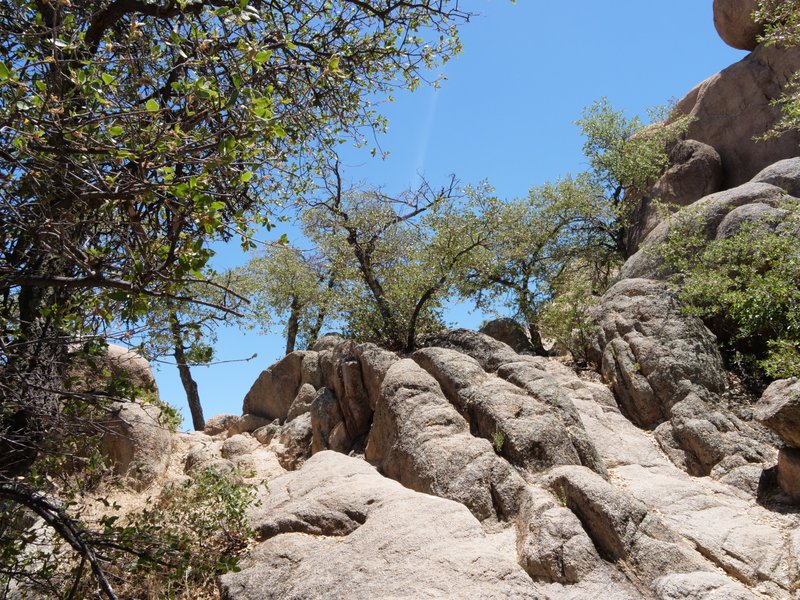 Flume Trail, Prescott, Arizona