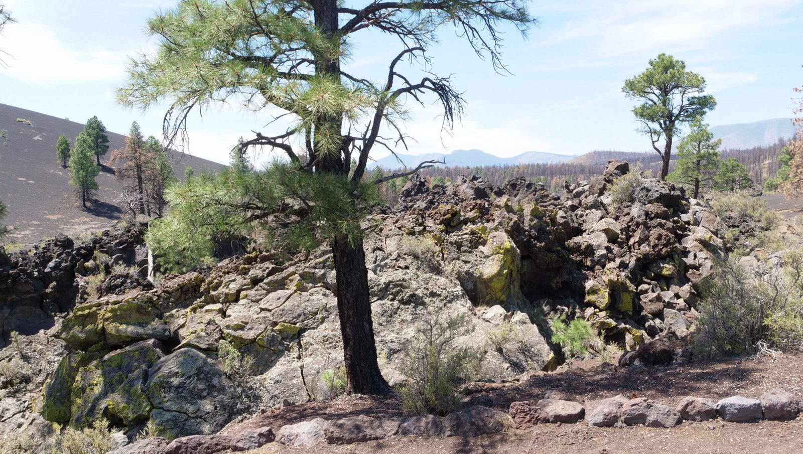 Lava Flow Trail, Sunset Crater Volcano National Monument, Coconino County, Arizona