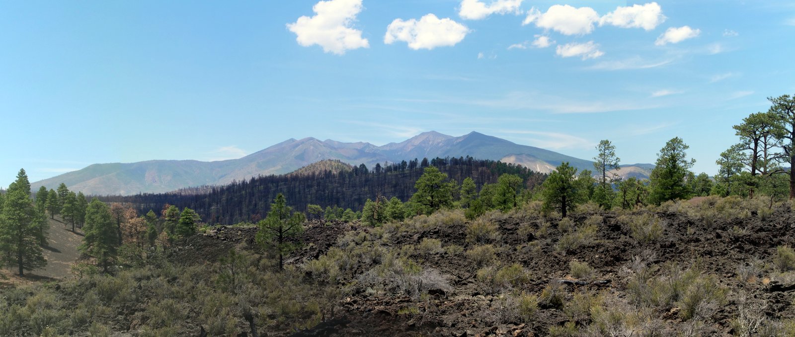 Lava Flow Trail, Sunset Crater Volcano National Monument, Coconino County, Arizona