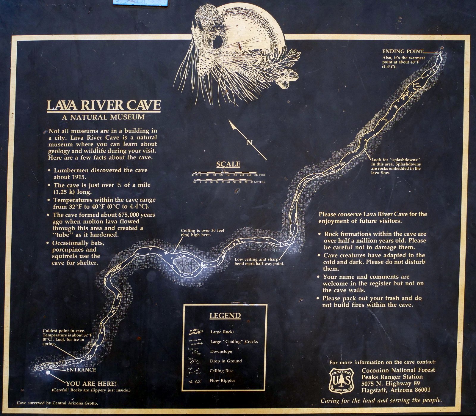 Lava River Tube, Coconino National Forest, Arizona