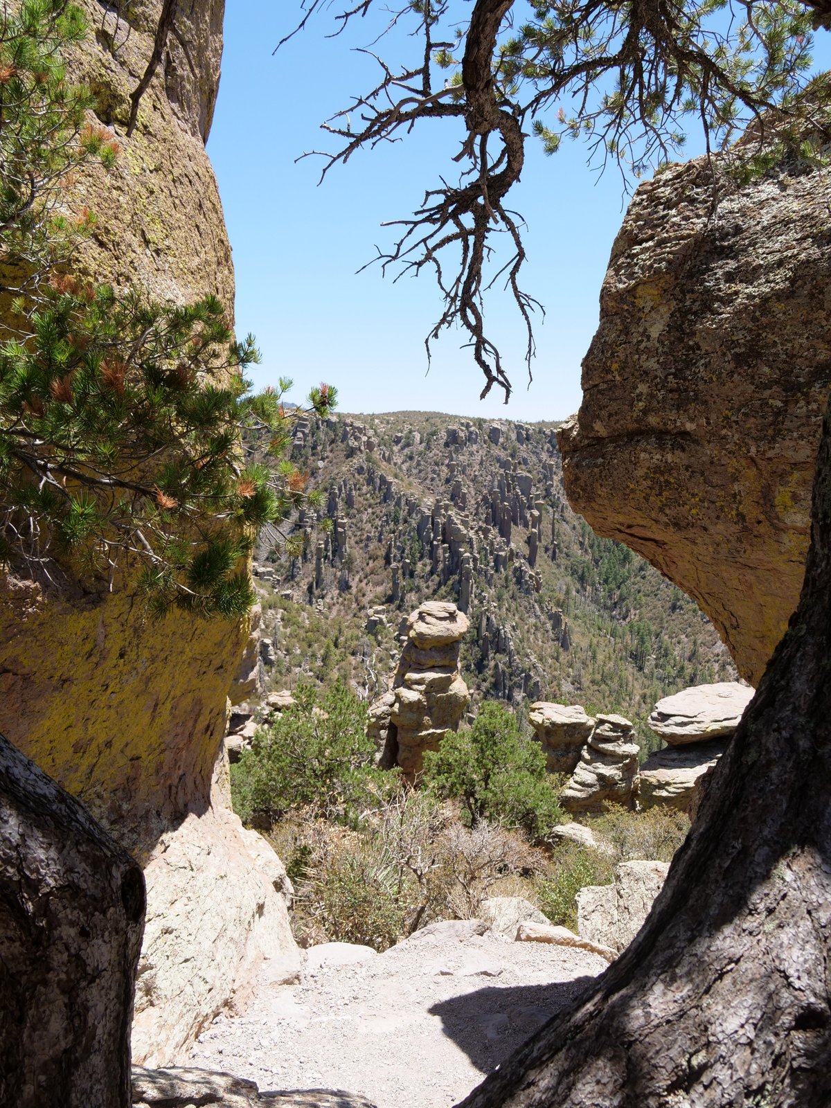 Massai Point Nature Trail, Chiricahua National Monument, Wilcox, Arizona